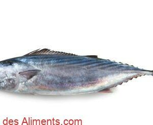 bonite &agrave; dos ray&eacute; (Sarda sarda)