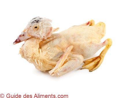 canard