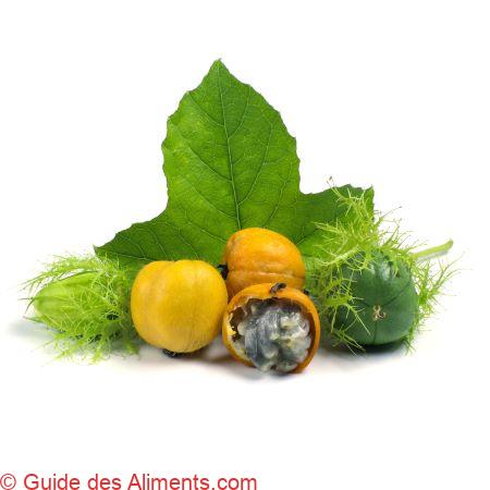 fruit de la passion sauvage - Passiflora foetida