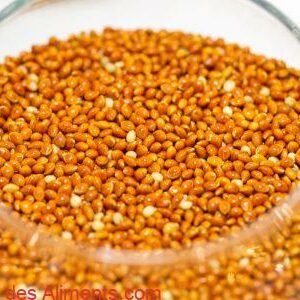 millet kodo