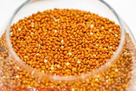 millet kodo