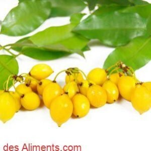 Bacupari