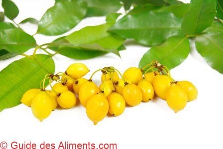 Bacupari