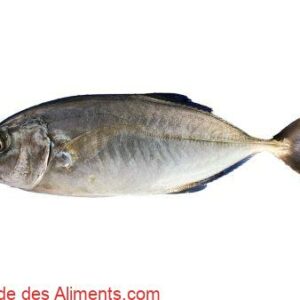 Carangue coubali - Caranx crysos