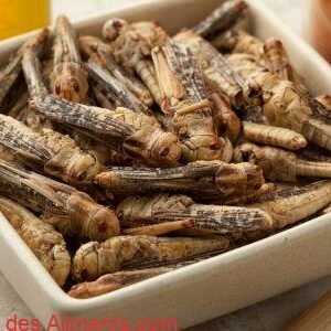 Chapulines