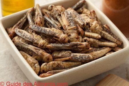 Chapulines
