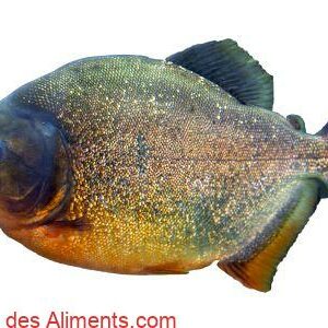 Colossoma macropomum