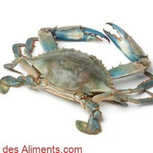 crabe bleu