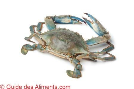 crabe bleu