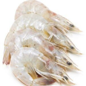 Crevette à pattes blanches