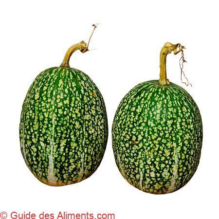 Cucurbita ficifolia