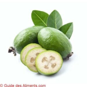Feijoa sellowiana