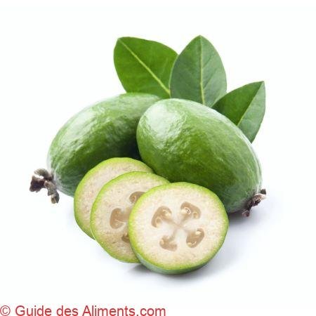 Feijoa sellowiana