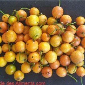 Garcinia intermedia