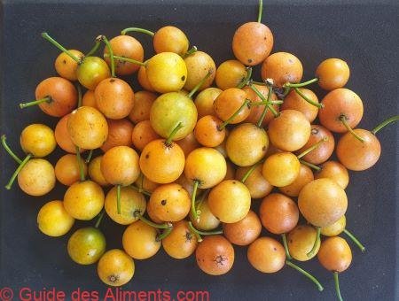 Garcinia intermedia