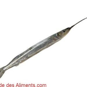 Hemiramphus brasiliensis