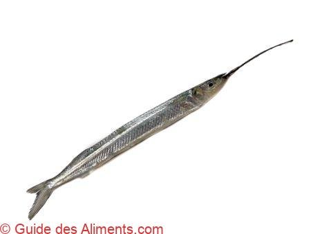 Hemiramphus brasiliensis