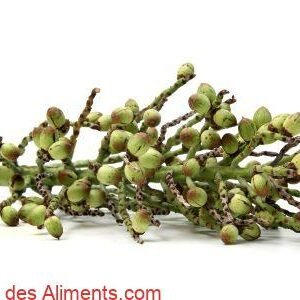 Licuri
