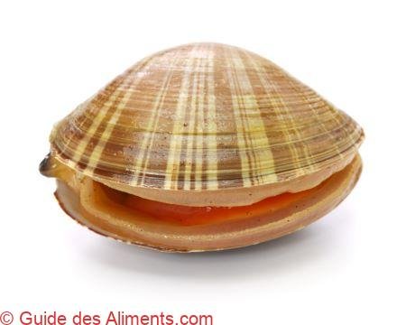 Mactra chinensis