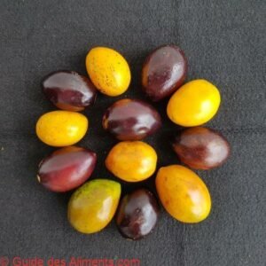 Poraqueiba sericea