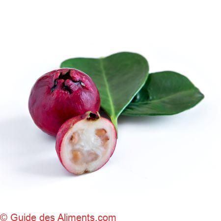 Psidium cattleyanum