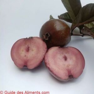 Psidium eugeniaefolia