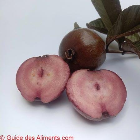 Psidium eugeniaefolia