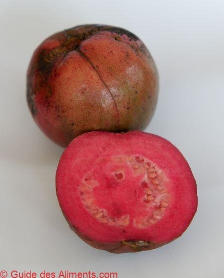 Psidium rufum