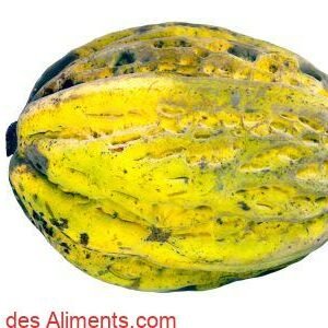 Theobroma bicolor