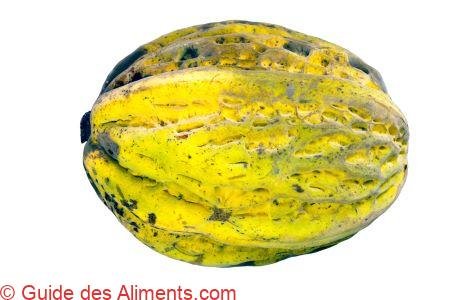 Theobroma bicolor