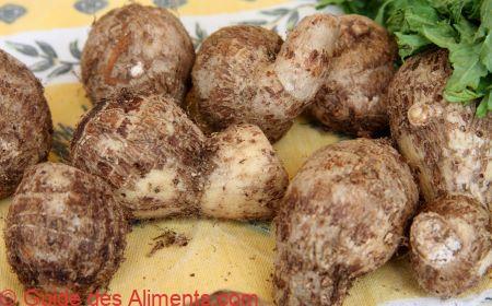 chou caraibe