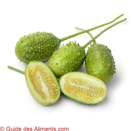 concombre des Antilles