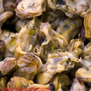 moule charru (Mytella charruana)