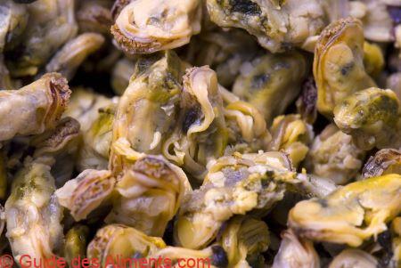 moule charru (Mytella charruana)