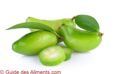 Garcinia schomburgkiana