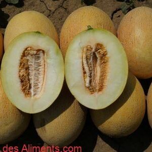 Melon Ananas