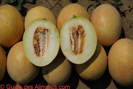 Melon Ananas