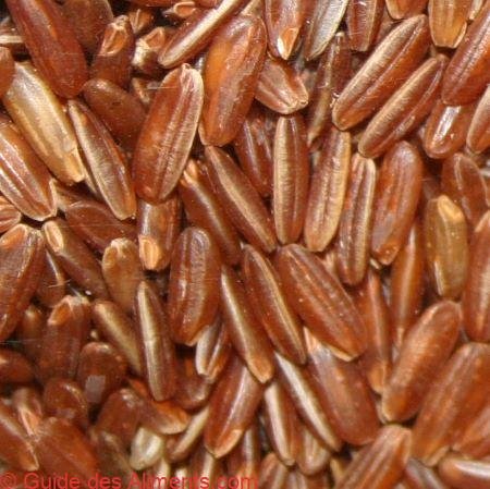 Riz complet Oryza glaberrima