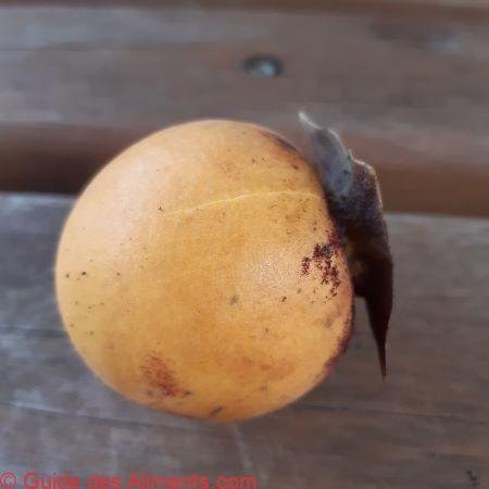 Vangueria madagascariensis