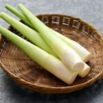 Zizania latifolia (riz sauvage de Mandchourie)