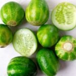 concombre Battaglione