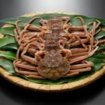 crabe des neiges (Chionoecetes opilio)