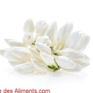 fleur de café fraîche