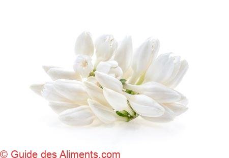 fleur de café fraîche