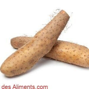 igname du Japon (Dioscorea japonica)