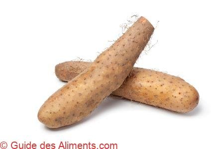 igname du Japon (Dioscorea japonica)