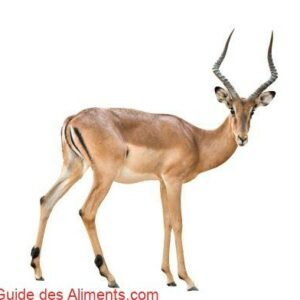 impala