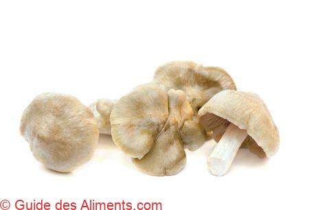 Clitopilus prunulus - meunier