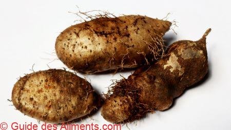 Dioscorea esculenta, petit igname