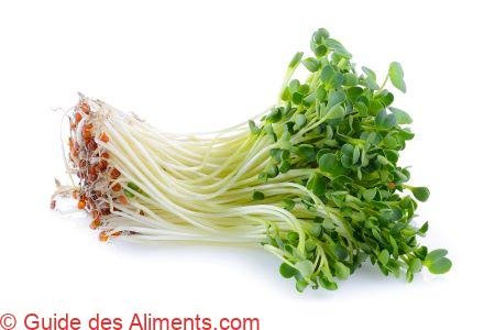 Kaiware Daikon (pousses de radis Daikon)